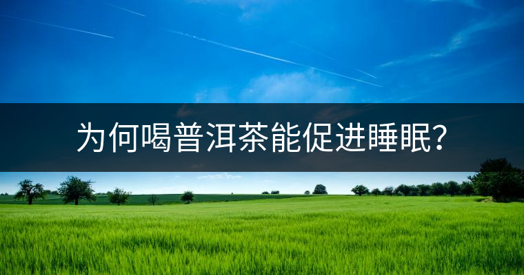 為何喝普洱茶能促進(jìn)睡眠？