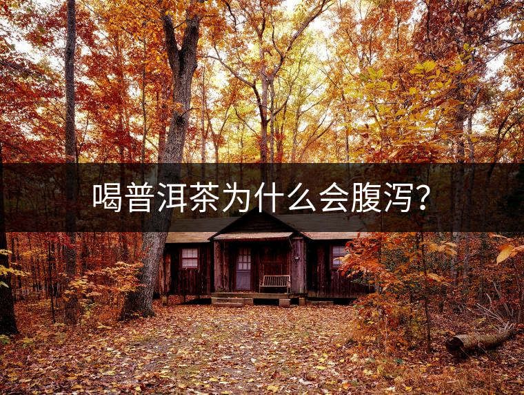 喝普洱茶為什么會腹瀉？
