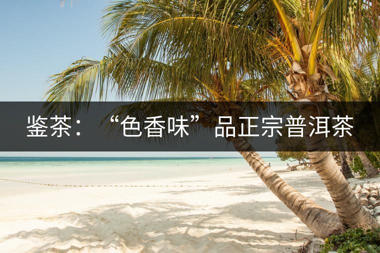 鑒茶：“色香味”品正宗普洱茶
