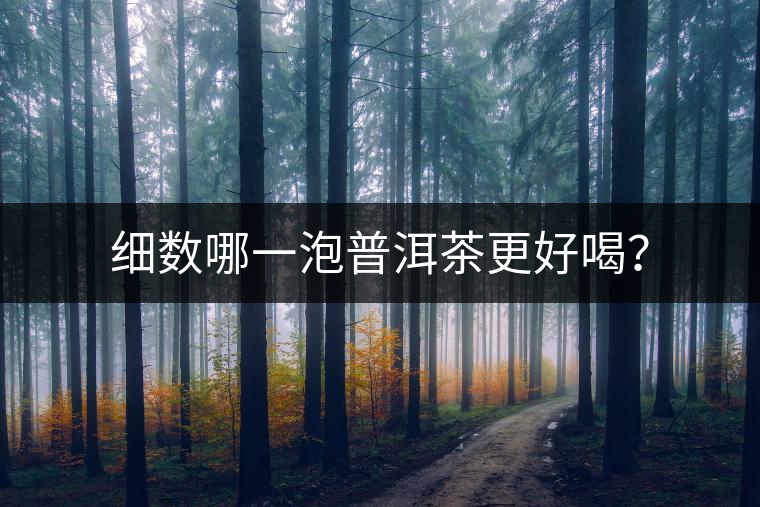 細(xì)數(shù)哪一泡普洱茶更好喝？