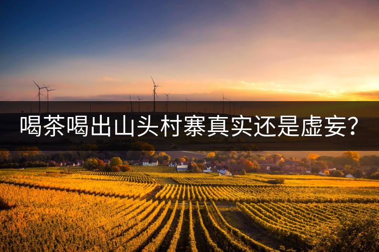 喝茶喝出山頭村寨真實還是虛妄？