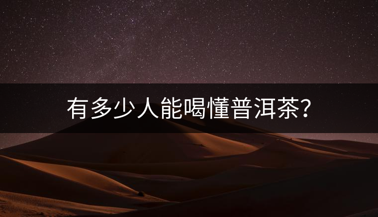 有多少人能喝懂普洱茶？