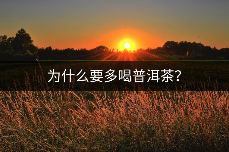 為什么要多喝普洱茶？