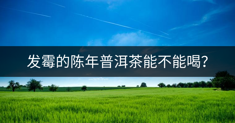 發(fā)霉的陳年普洱茶能不能喝？