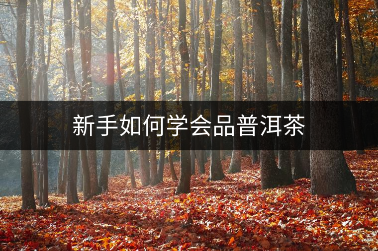 新手如何學(xué)會(huì)品普洱茶