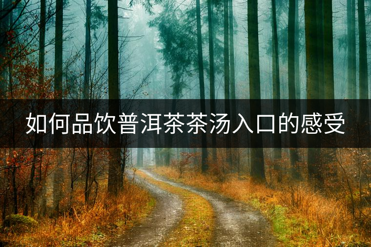 如何品飲普洱茶茶湯入口的感受