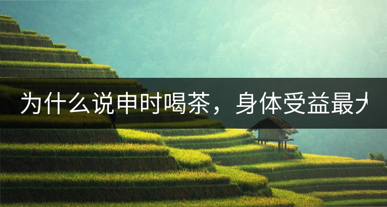 為什么說申時喝茶，身體受益最大？