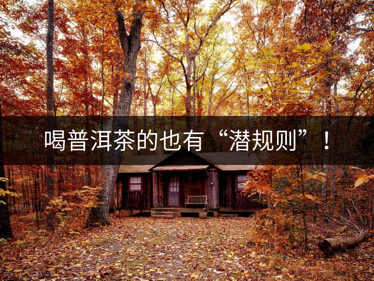 喝普洱茶的也有“潛規(guī)則”！
