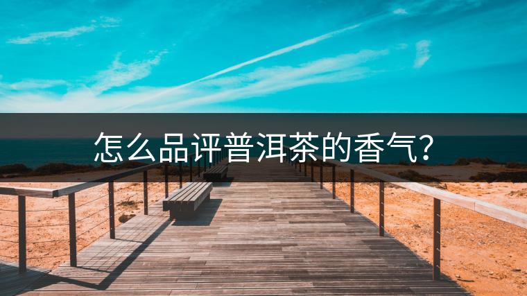 怎么品評(píng)普洱茶的香氣？