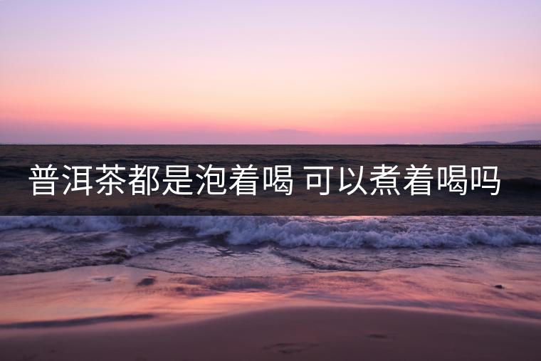 普洱茶都是泡著喝 可以煮著喝嗎?