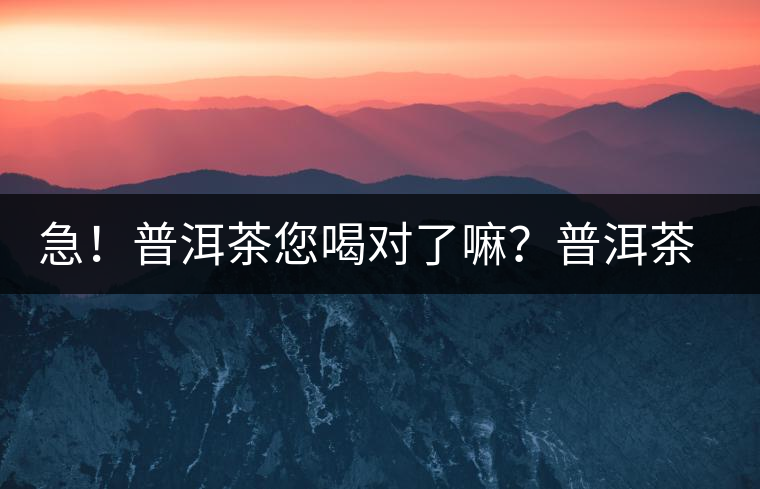 急！普洱茶您喝對了嘛？普洱茶的十八般武藝