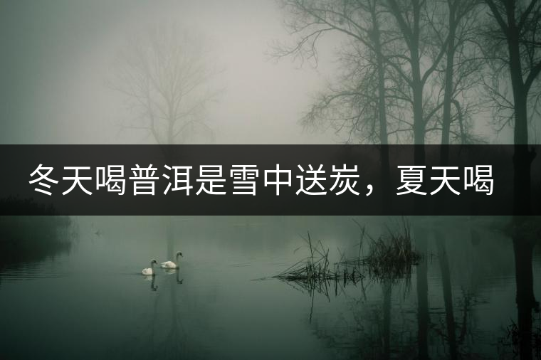 冬天喝普洱是雪中送炭，夏天喝就是火上澆油了？