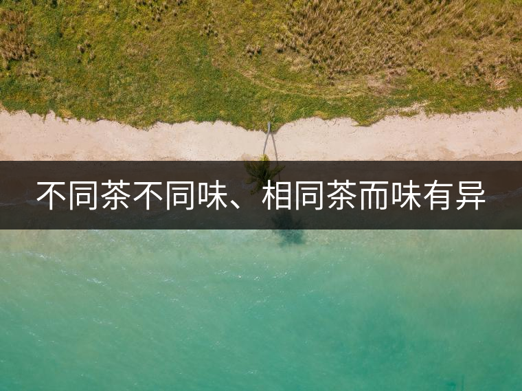 不同茶不同味、相同茶而味有異