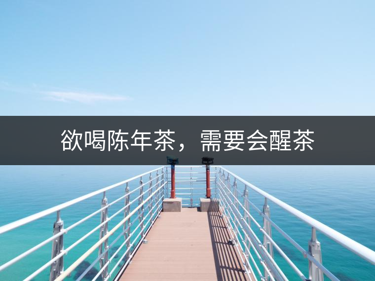 欲喝陳年茶，需要會(huì)醒茶