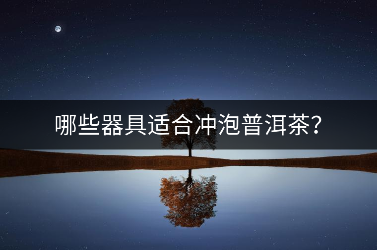 哪些器具適合沖泡普洱茶？