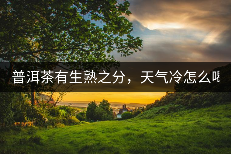 普洱茶有生熟之分，天氣冷怎么喝？