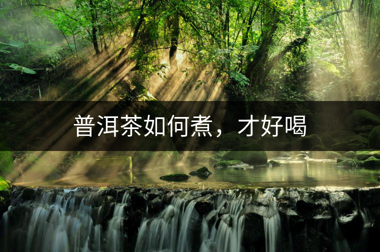 普洱茶如何煮，才好喝