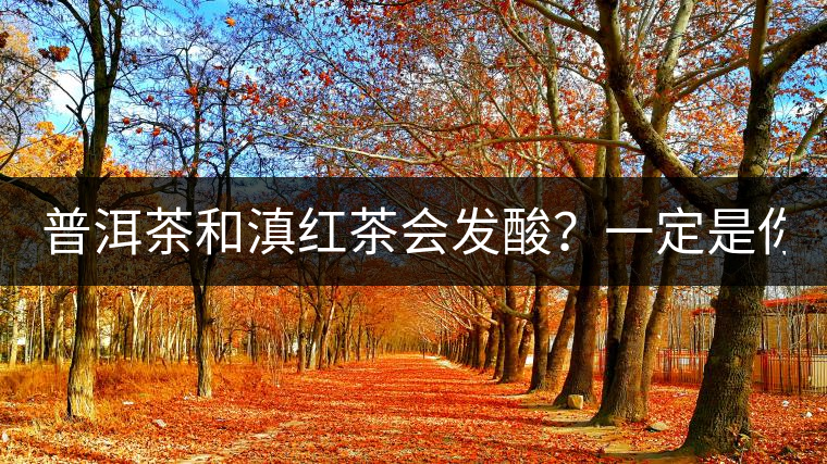 普洱茶和滇紅茶會(huì)發(fā)酸？一定是你這么做了！