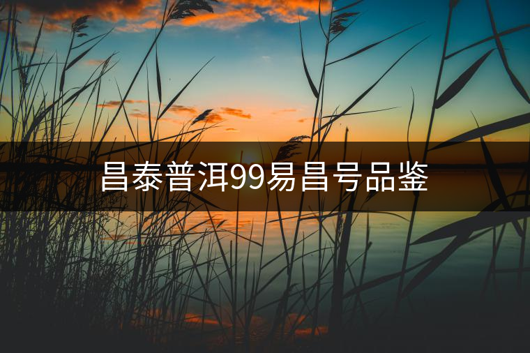 昌泰普洱99易昌號品鑒
