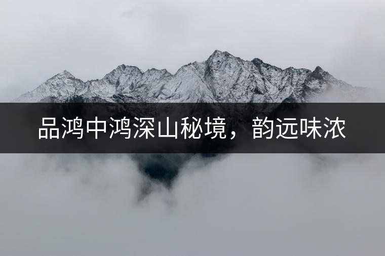 品鴻中鴻深山秘境，韻遠(yuǎn)味濃