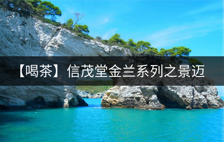 【喝茶】信茂堂金蘭系列之景邁生茶