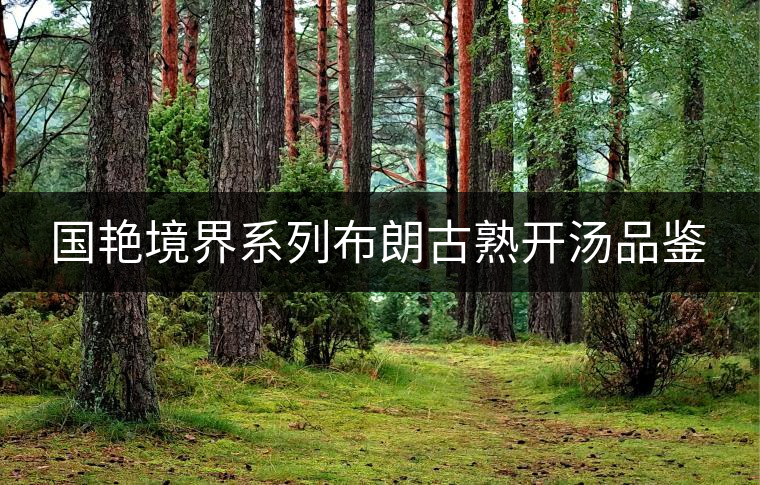 國艷境界系列布朗古熟開湯品鑒 國艷境界系列布朗古熟開湯品鑒