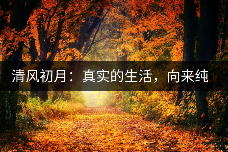 清風初月：真實的生活，向來純簡