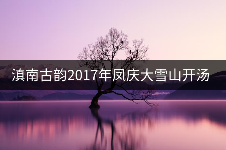 滇南古韻2017年鳳慶大雪山開(kāi)湯品鑒 滇南古韻2017年鳳慶大雪山開(kāi)湯品鑒