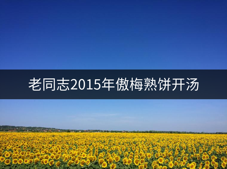 老同志2015年傲梅熟餅開(kāi)湯