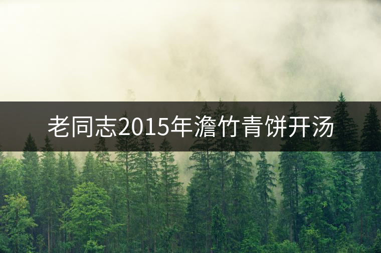 老同志2015年澹竹青餅開湯