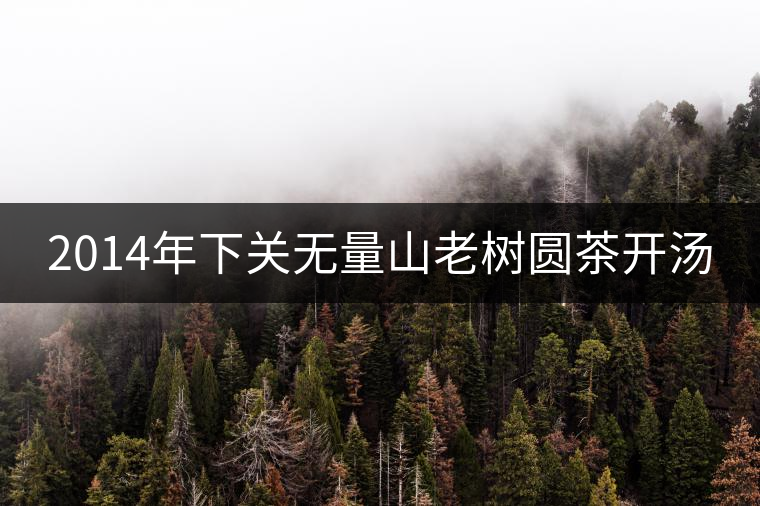 2014年下關(guān)無(wú)量山老樹圓茶開湯