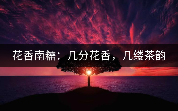 花香南糯：幾分花香，幾縷茶韻