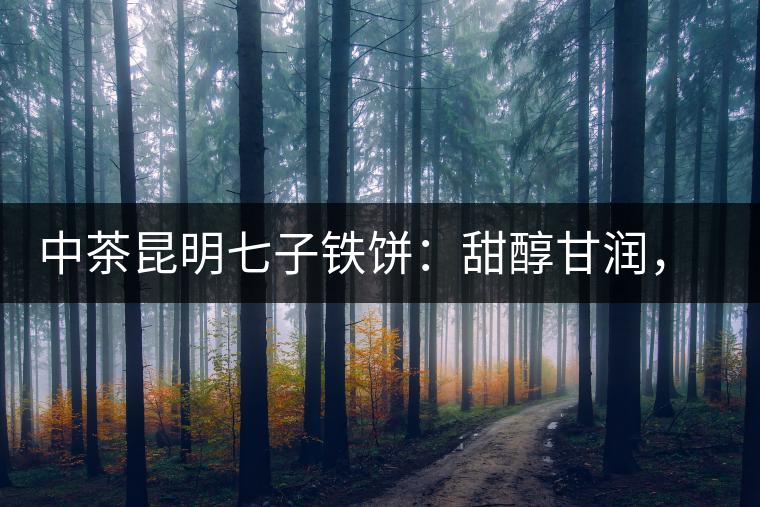 中茶昆明七子鐵餅：甜醇甘潤，陳韻綿長