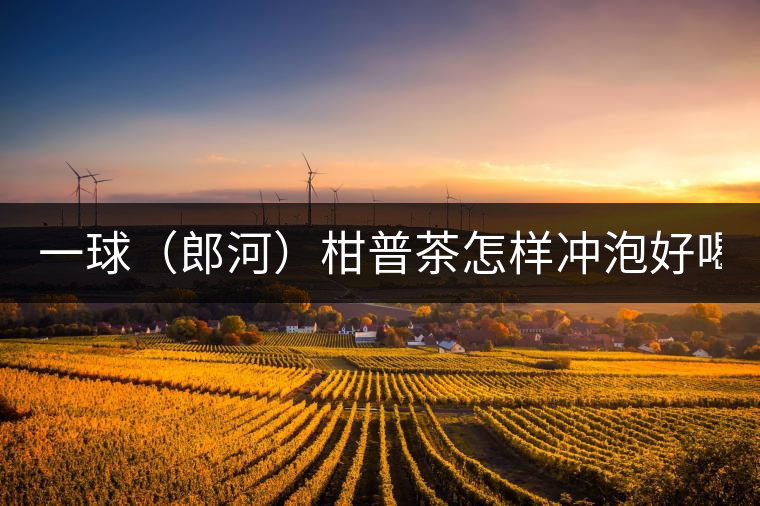 一球（郎河）柑普茶怎樣沖泡好喝？