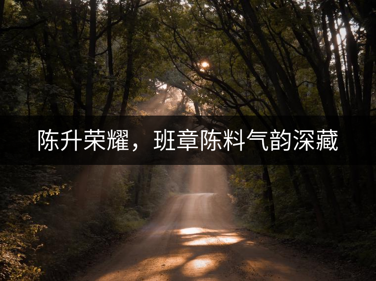 陳升榮耀，班章陳料氣韻深藏