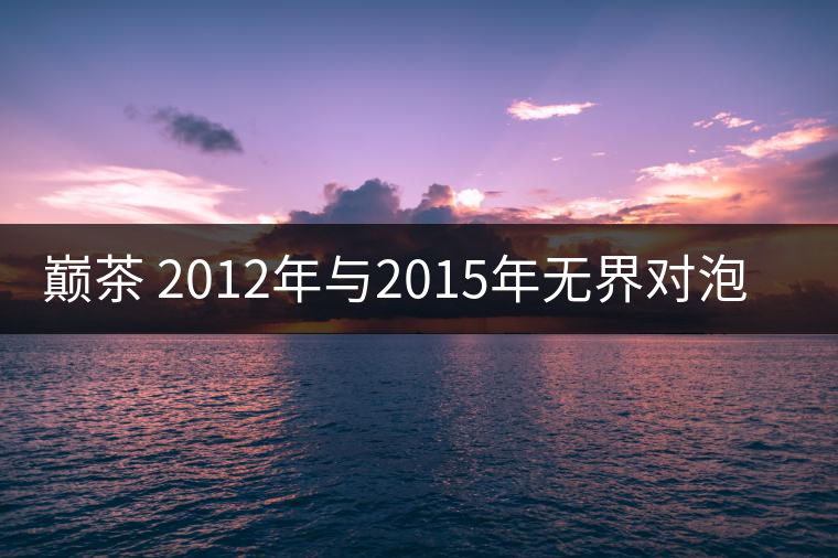 巔茶 2012年與2015年無界對(duì)泡啟示錄！