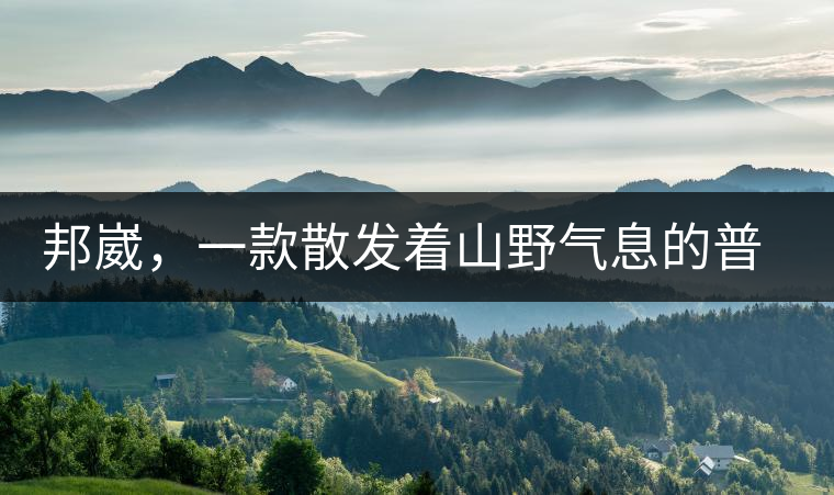 邦崴，一款散發(fā)著山野氣息的普洱