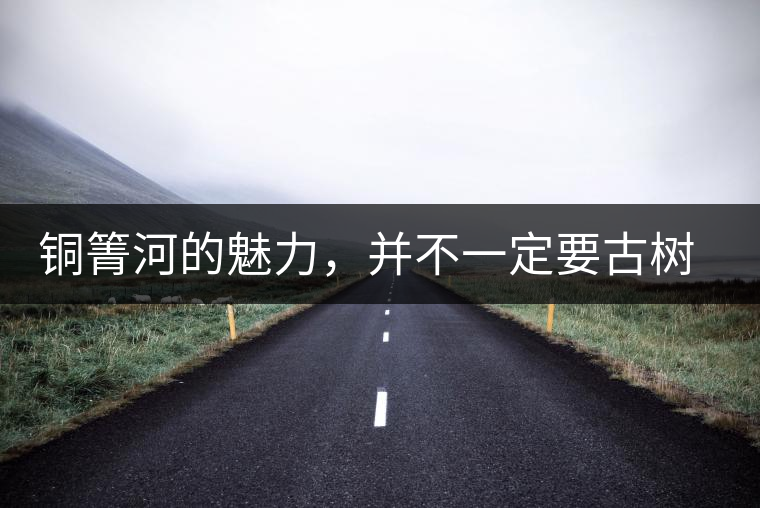 銅箐河的魅力，并不一定要古樹來體現(xiàn)