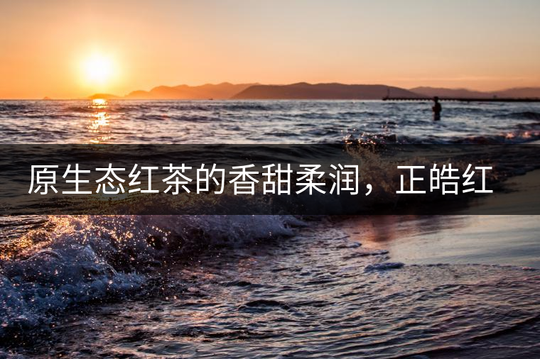 原生態(tài)紅茶的香甜柔潤，正皓紅的魅力無可抵擋！