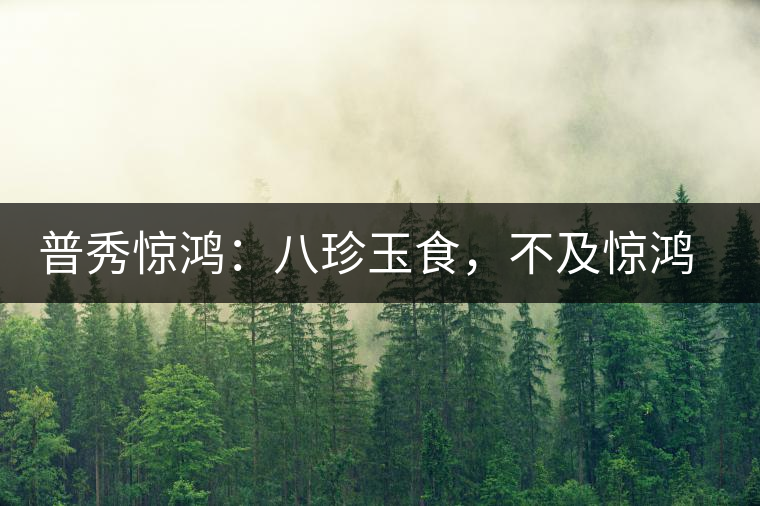 普秀驚鴻：八珍玉食，不及驚鴻一湯