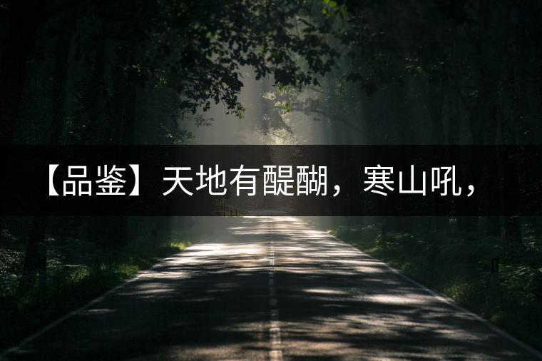 【品鑒】天地有醍醐，寒山吼，苦樂皆隨風(fēng)