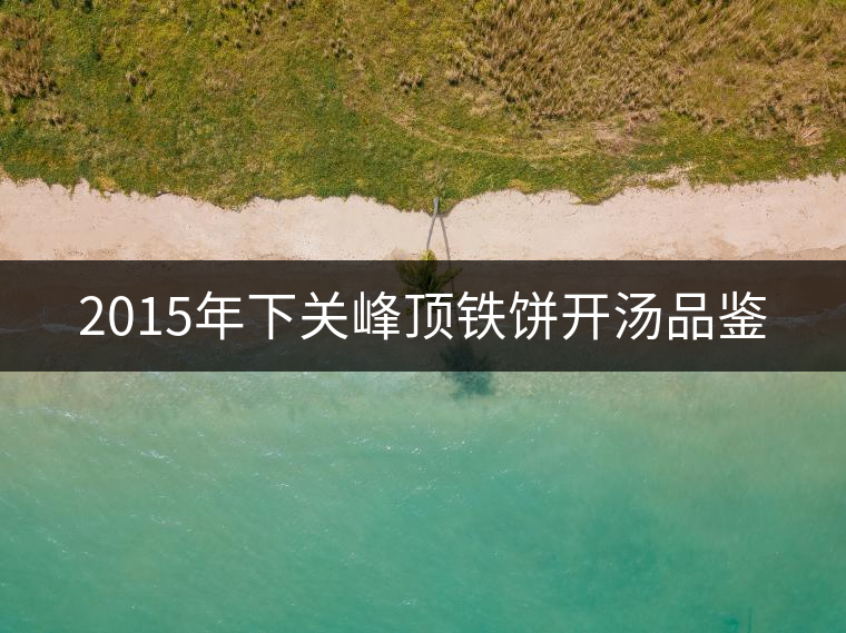 2015年下關峰頂鐵餅開湯品鑒 2015年下關峰頂鐵餅開湯品鑒