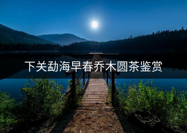 下關(guān)勐海早春?jiǎn)棠緢A茶鑒賞 下關(guān)勐海早春?jiǎn)棠緢A茶鑒賞
