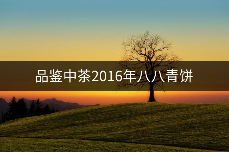 品鑒中茶2016年八八青餅