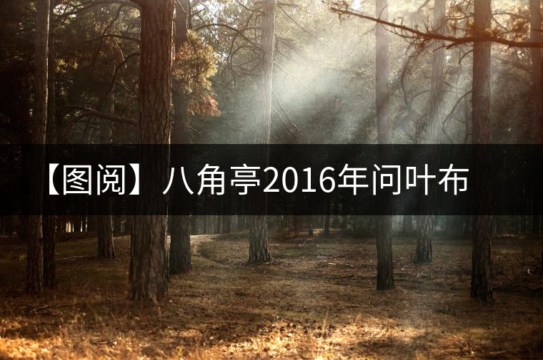 【圖閱】八角亭2016年問葉布朗開湯圖集錦