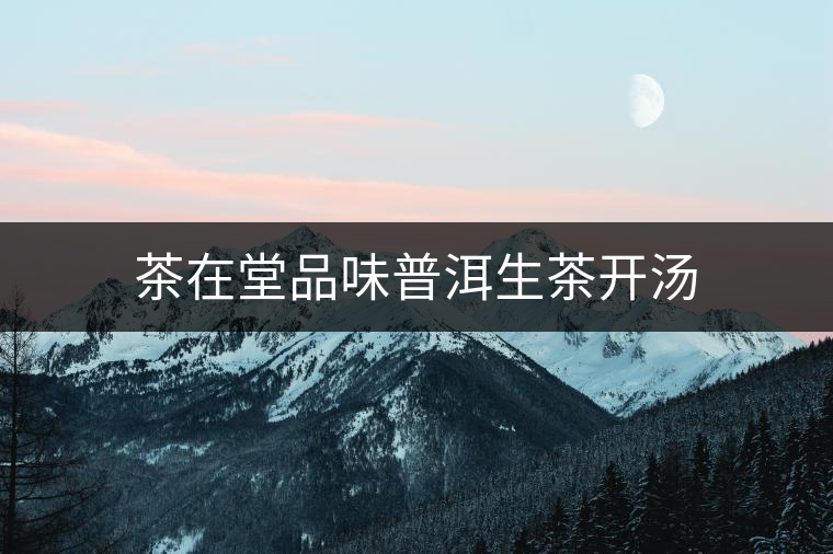 茶在堂品味普洱生茶開湯