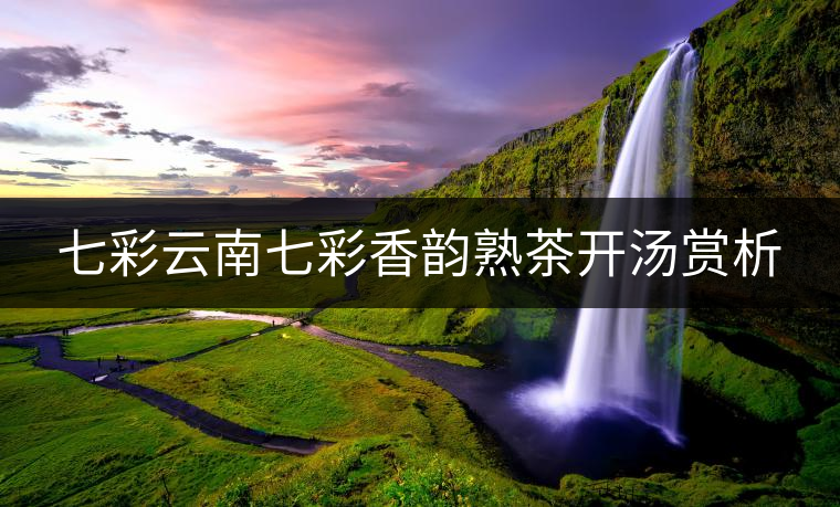 七彩云南七彩香韻熟茶開湯賞析