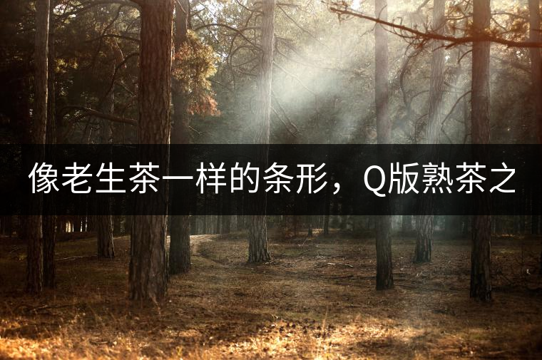 像老生茶一樣的條形，Q版熟茶之【融璞】