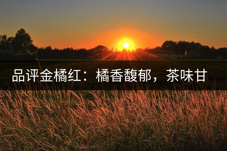 品評金橘紅：橘香馥郁，茶味甘醇，匠心拼配，臻于至善