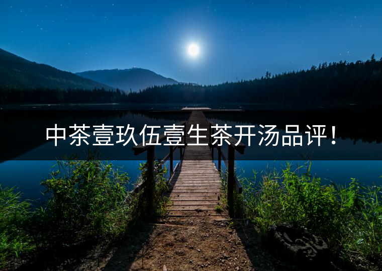 中茶壹玖伍壹生茶開湯品評(píng)! 中茶壹玖伍壹生茶開湯品評(píng)!